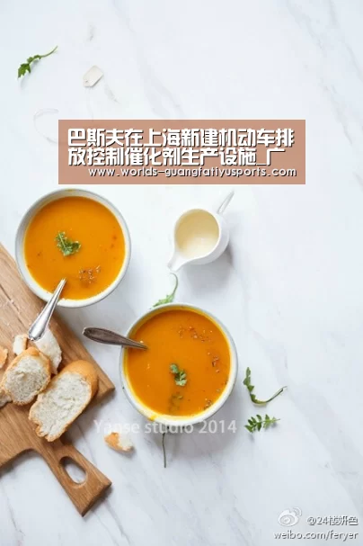 巴斯夫在上海新建机动车排放控制催化剂生产设施_广发(中国)(图2) 广发(中国)