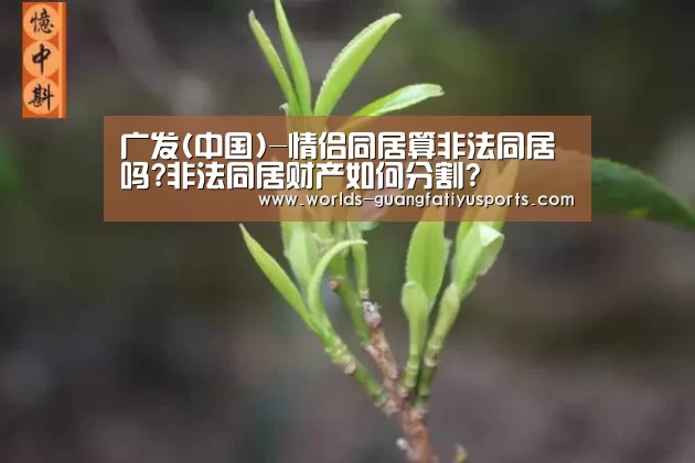 广发(中国)-情侣同居算非法同居吗?非法同居财产如何分割?(图3) 广发(中国)