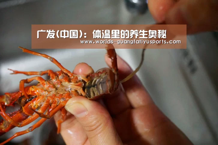 广发(中国):体温里的养生奥秘(图3) 广发(中国)