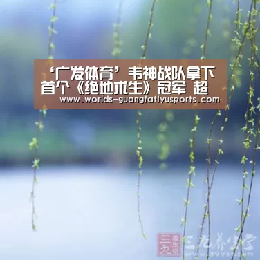广发(中国)
